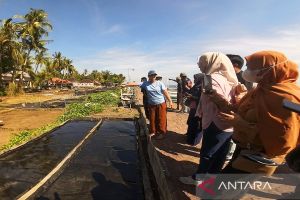 Desa Les, dari swasembada garam menjadi pariwisata hijau kelas dunia