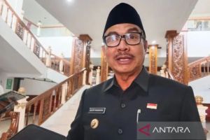 Pemkot Yogyakarta usulkan anggaran Rp10 miliar untuk becak listrik