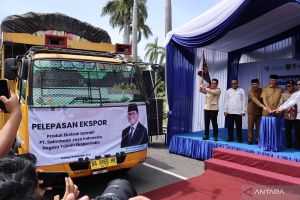 Mendag sebut hilirisasi jadi kunci agar gambir Sumbar mendunia