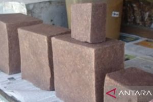 UMKM Pangkalpinang ekspor terasi ke Australia