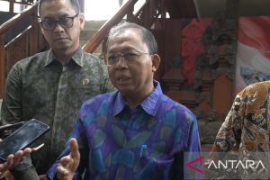 Gubernur Bali minta bupati petakan 6.000 ha lahan untuk sawah baru