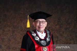 Rawan pohon tumbang, akademisi minta pemerintah serius tata lingkungan