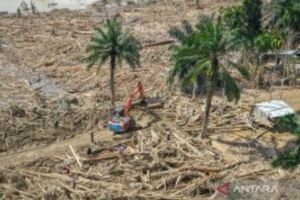 PT Timah sediakan akses listrik-internet di Aceh Tamiang