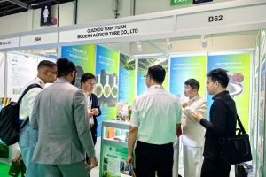 Produk Pertanian Hijau Guizhou China Menembus Teluk Persia  &nbsp;