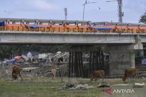 Operasi tanggap darurat terpadu: Perkuat kolaborasi selamatkan nyawa