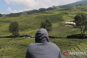 BRIGADE sebut aktivitas pendakian Gunung Dempo berjalan normal