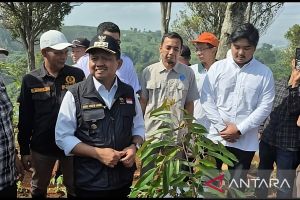 Pemkab Sumedang tanam 30 ribu pohon guna kurangi risiko longsor