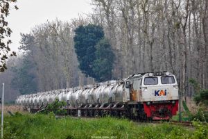 KAI angkut 63,3 juta ton barang energi dan logistik hingga November