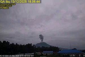 Gunung Ibu semburkan abu setinggi hingga 1.000 meter