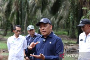 Empat KUD binaan PTPN IV raih sertifikasi RSPO
