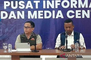 BNPB: Hunian sementara korban banjir di Aceh mulai dibangun