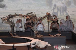 Museum, liburan kelas menengah, dan ingatan bangsa yang terancam