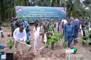 Wamen ATR: Relokasi dari Tesso Nilo memgedepankan prinsip keadilan