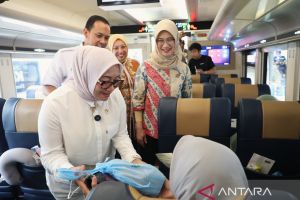 Pemudik diminta lapor jika alami kekerasan selama perjalanan mudik