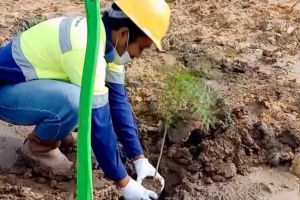 Konservasi tanah wajibkan pengguna lahan jaga fungsi lingkungan