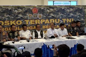 Pemerintah telusuri asal usul kayu gelondong di banjir Sumatera