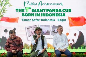 Menhut: Kelahiran bayi panda tegaskan peran RI di konservasi global