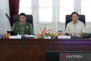 BNPB: Pendataan akurat percepat rehabilitasi daerah terdampak bencana
