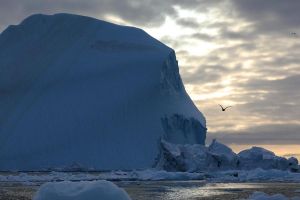 UE, NATO bersatu dukung Greenland di tengah ketegangan di Arktika