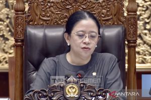 RUU PPRT jadi inisiatif DPR RI, tegaskan perlindungan-jaminan ART