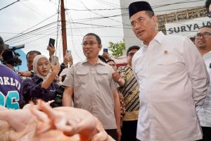 Kabapanas: Fluktuasi harga pangan saat Ramadhan dan Idul Fitri terjaga