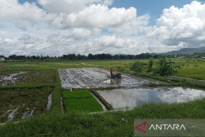 DKPP Bantul siapkan pompa air antisipasi kemarau di sektor pertanian