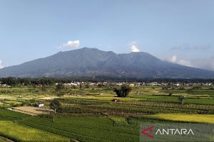 PGA laporkan Gunung Marapi di Sumbar erupsi 22 detik