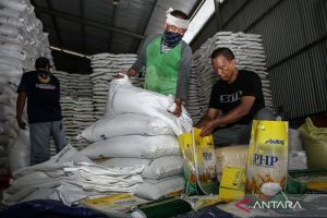 Kapasitas gudang Bulog dan stabilitas harga saat panen raya