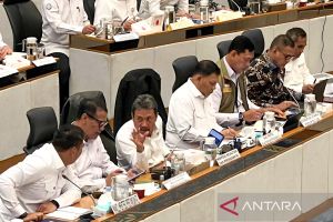 Dirut Bulog sebut pengadaan gabah setara beras capai 1,6 juta ton