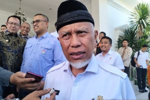 Gubernur: Pemerintah segera bangun pabrik pengolahan gambir di Sumbar