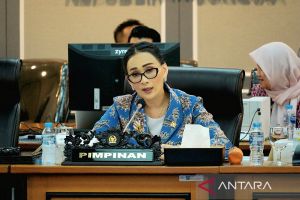 Anggota DPR: Pengiriman TNI ke Lebanon harus dibantu intelijen memadai