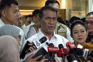 Mentan: Stok cadangan beras 4,6 juta ton, tertinggi sepanjang sejarah