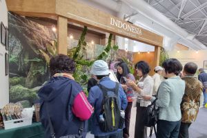 Florikultura RI catat potensi transaksi Rp17 miliar di Korea