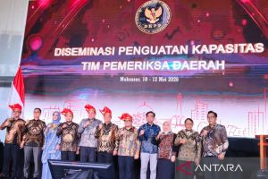 DKPP perkuat kapasitas TPD di wilayah timur Indonesia