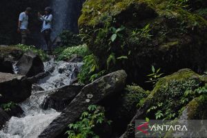 Kemenhut jaga peran TN Gunung Ciremai sebagai "Tower Air" Jawa Barat