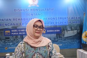 Komnas HAM: Mitigasi bencana tidak berulang harus menjadi prioritas