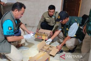 Tim gabungan di Bali gagalkan penyelundupan burung tanpa dokumen