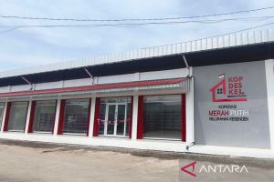 Koperasi, dari KUD jadi KDKMP