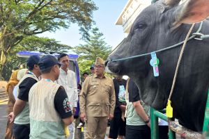 Presiden Prabowo beli sapi milik warga Kota Bandung untuk kurban