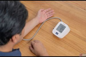 Cek tekanan darah rutin di rumah untuk cegah hipertensi dan stroke