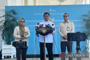 Presiden salurkan bantuan 1.098 sapi disalurkan ke 552 daerah hingga pesantren