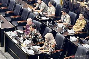 Kementerian ATR tekankan penguatan data dalam RUU Komoditas Strategis