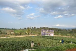 Lapas Warungkiara kelola lahan tidur 7 hektare dukung ketahanan pangan