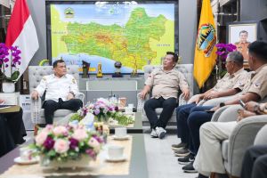 Peternak unggas minta peningkatan serapan telur untuk MBG