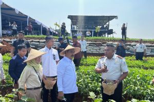 Komisi XIII sebut program ketahanan pangan Imipas jadi terobosan