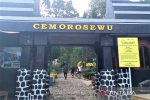 BPBD Magetan catat ratusan pendaki mulai datangi Gunung Lawu