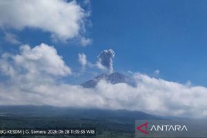 Semeru erupsi dengan tinggi letusan 1.000 meter di atas puncak