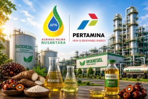 Agrinas Palma akan rekrut lebih dari 20 ribu pekerja kelola aset sawit