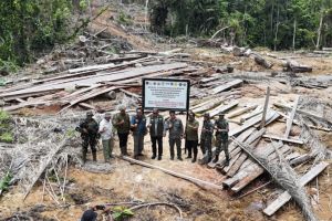 Kemenhut kawal putusan PT BRN bayar ganti rugi ekologi Rp78,1 miliar