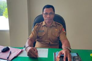 Pemkab Sikka dorong pustakawan jadi fasilitator informasi digital